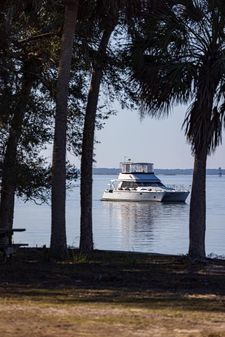 Seawind Venturer 42 Power Cat image