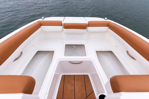 Bayliner DX-2000 image
