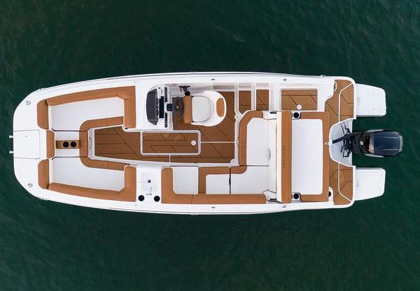 Bayliner DX-2000 image