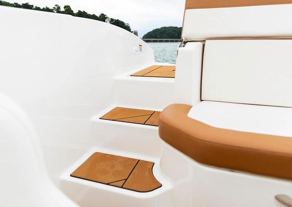 Bayliner DX-2000 image