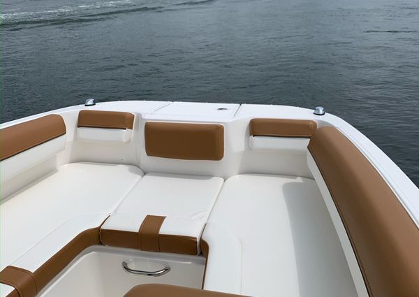 Bayliner DX-2000 image