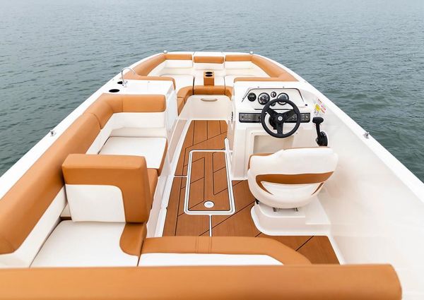 Bayliner DX-2000 image