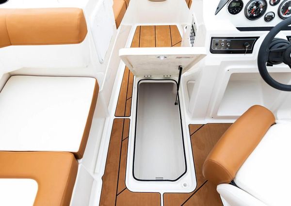 Bayliner DX-2000 image