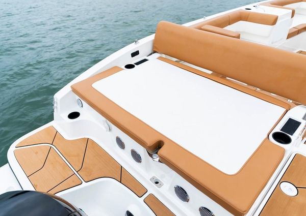 Bayliner DX-2000 image