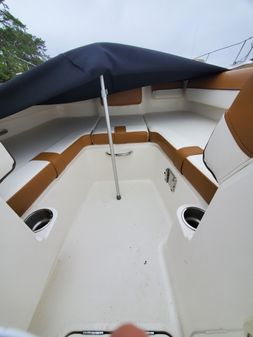 Bayliner DX-2000 image