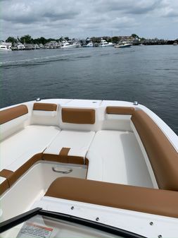 Bayliner DX-2000 image