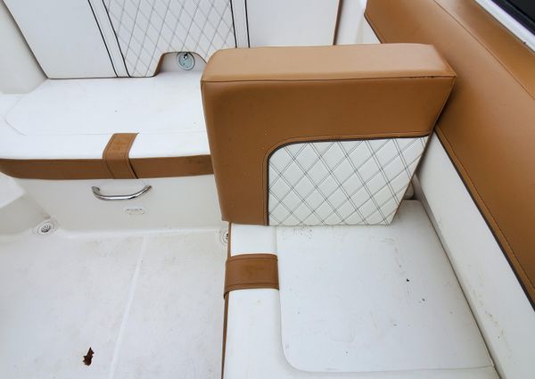 Bayliner DX-2000 image