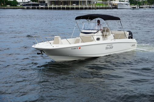 Boston Whaler 270 Dauntless image