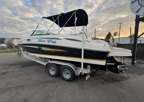 Sea-ray 260-SUNDECK image