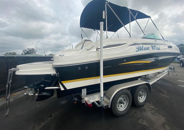 Sea-ray 260-SUNDECK image