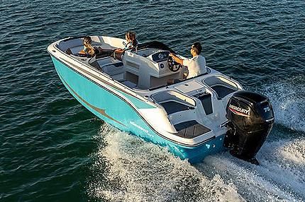 Bayliner Element M17 