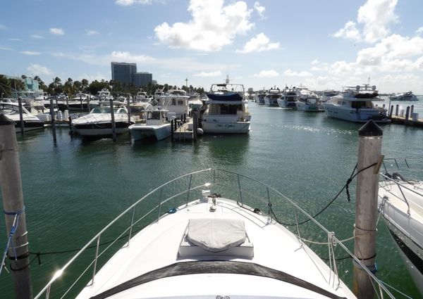 Sea Ray 44 Sedan Bridge image