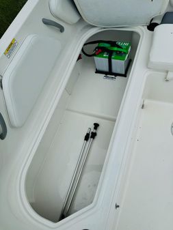 Bayliner ELEMENT-E21 image