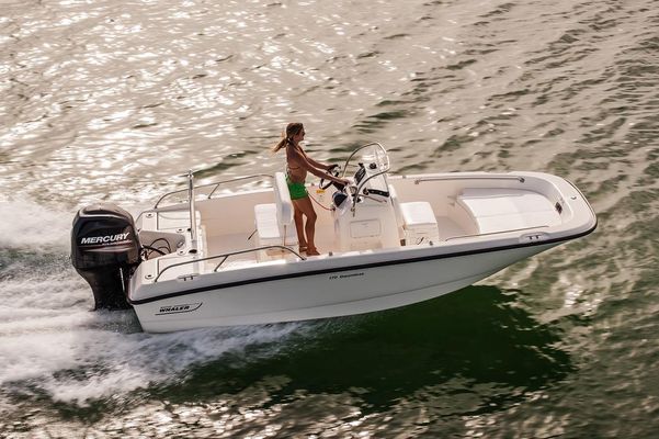 Boston Whaler 170 Dauntless - main image