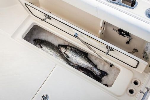 Boston-whaler 285-CONQUEST-PILOTHOUSE image