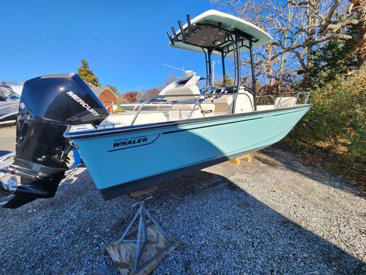 Boston Whaler 210 Montauk - main image