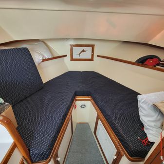 Blue-seas 31-PALM-BEACH-FLYBRIDGE-CRUISER image