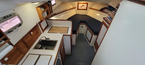 Blue-seas 31-PALM-BEACH-FLYBRIDGE-CRUISER image