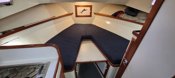 Blue-seas 31-PALM-BEACH-FLYBRIDGE-CRUISER image