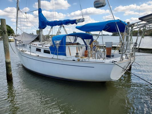 Hinterhoeller Niagara 35 - main image