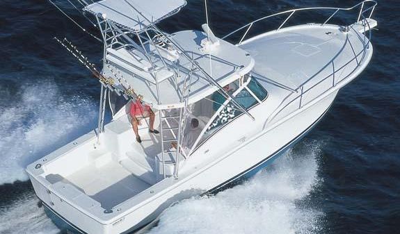 Luhrs 36 Open