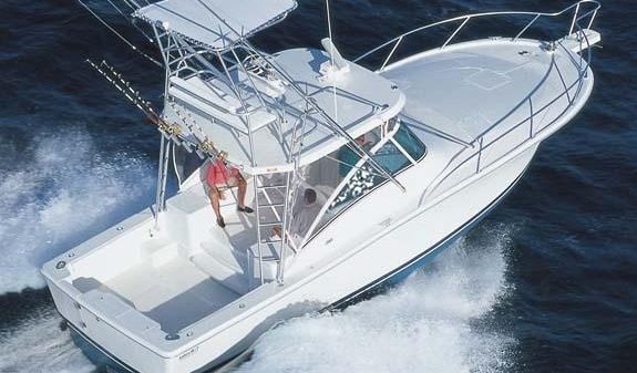 Luhrs 36 Open 