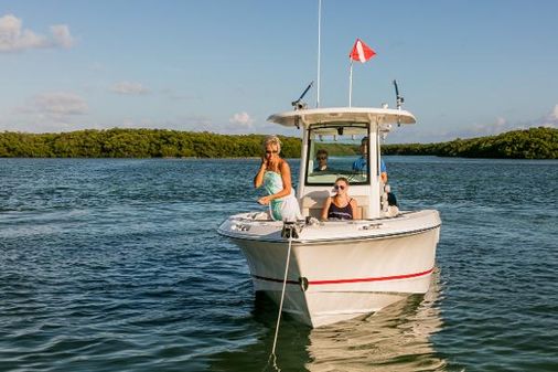 Boston-whaler 250-OUTRAGE image