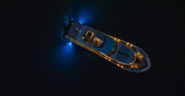 Monachus 70 Fly image