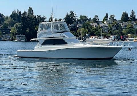 Viking 47 Convertible