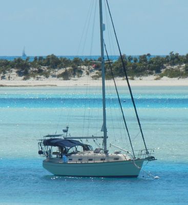 Island Packet 350 - main image