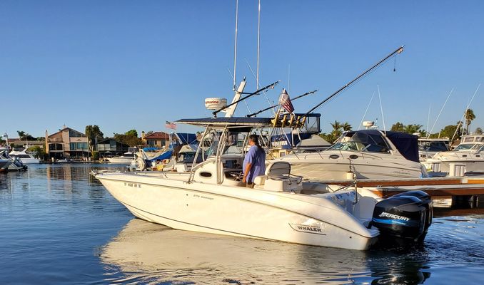 Boston Whaler 270 Outrage - main image