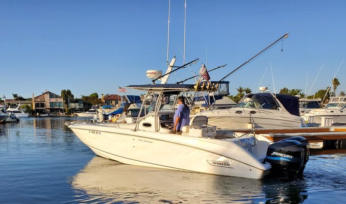 Boston-whaler 270-OUTRAGE - main image