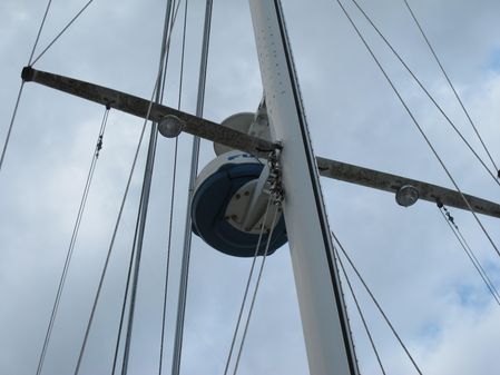 Brewer 44 image