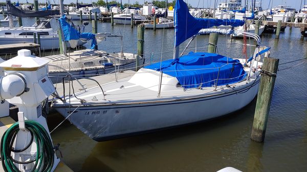 Catalina Tall Rig 