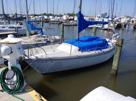 Catalina Tall Rig image