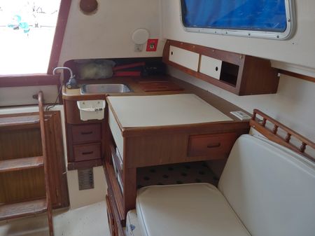 Catalina Tall Rig image