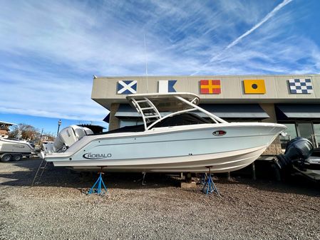 Robalo R317-DUAL-CONSOLE image