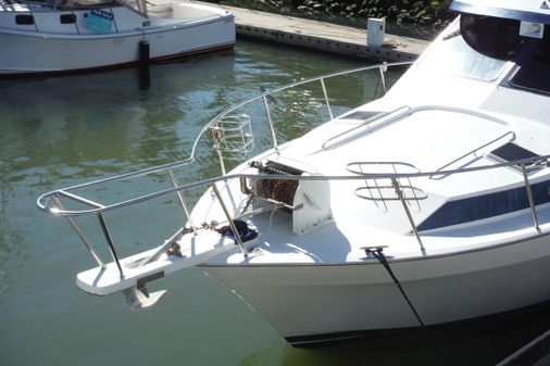 Mediterranean 38 Sport Fish image