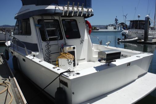 Mediterranean 38 Sport Fish image