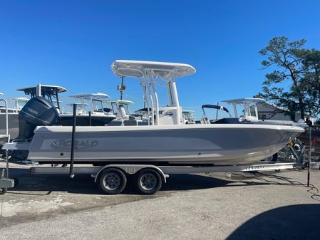 Robalo 246-CAYMAN image