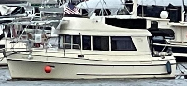 Camano 31 Troll image