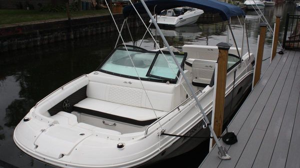 Sea Ray SDX 250 