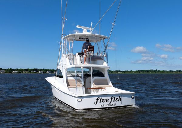 Viking 37 Billfish image