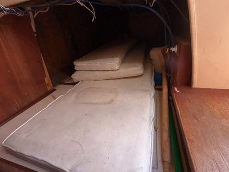 Ranger 33 image