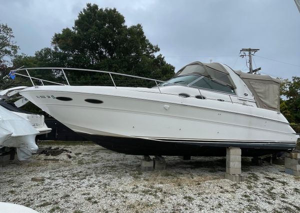 Sea Ray 310 Sundancer image