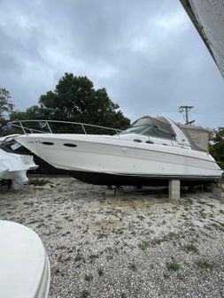 Sea Ray 310 Sundancer image