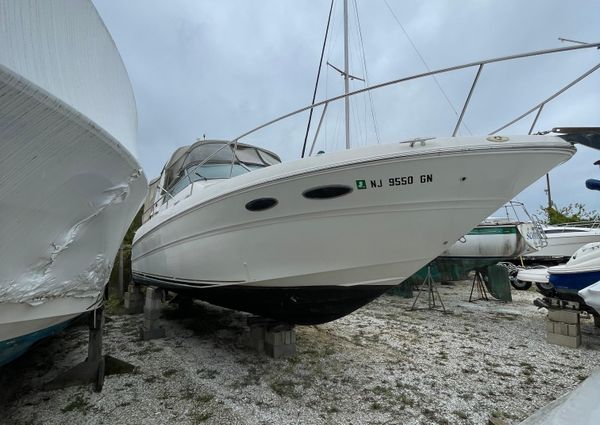 Sea Ray 310 Sundancer image