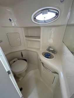 Sea Ray 310 Sundancer image