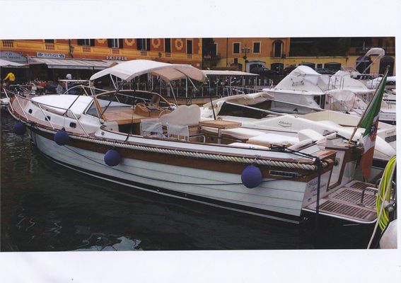 Mussini paraggina - main image