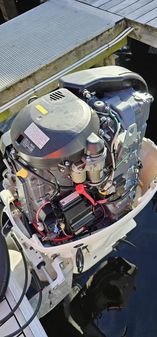 Twin Vee 240 cc PowerCat image